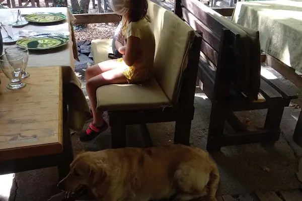 Çam Evleri Restoran - Resim 19
