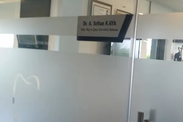 Dr. Abdullah Selhan Kaya - Resim 2