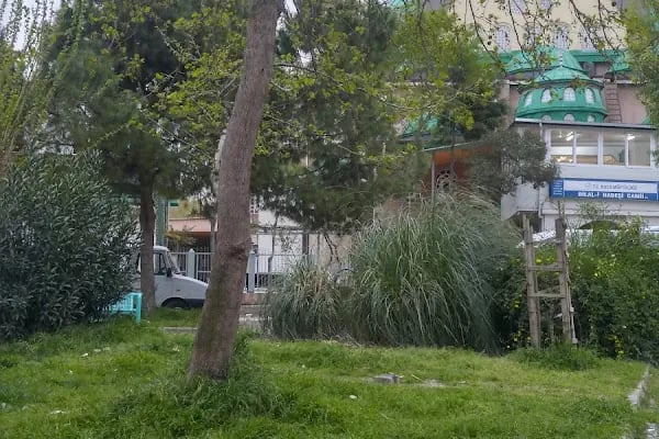 Bilali Habeşi Cami - Resim 9