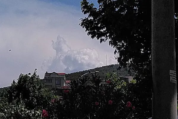 Arı Sitesi - Resim 15