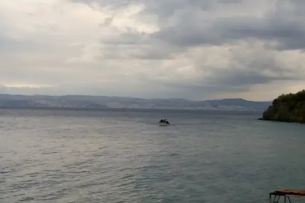 Arı Sitesi - Resim 17