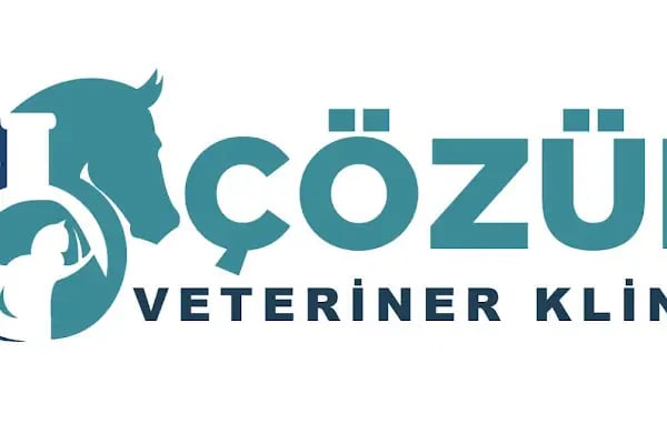 ÇÖZÜM VETERİNER KLİNİĞİ - Resim 5