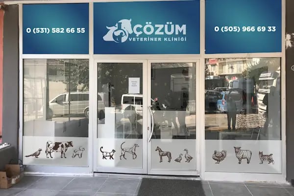 ÇÖZÜM VETERİNER KLİNİĞİ - Resim 2