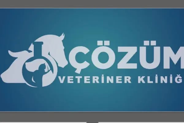 ÇÖZÜM VETERİNER KLİNİĞİ - Resim 4