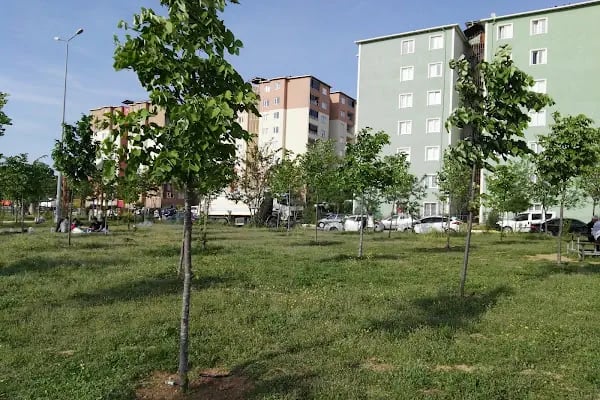 Çağdaşkent Mesire Alanı - Resim 2