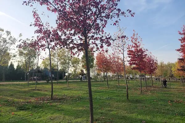 Çağdaşkent Mesire Alanı - Resim 7