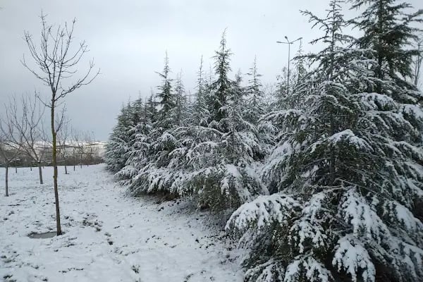 Çağdaşkent Mesire Alanı - Resim 14