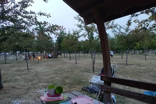 Çağdaşkent Mesire Alanı - Resim 10