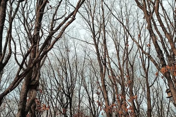 23 Nisan Çocuk Parkı - Resim 6
