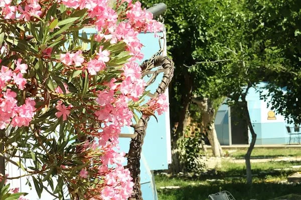 İglo City Bodrum - Resim 15
