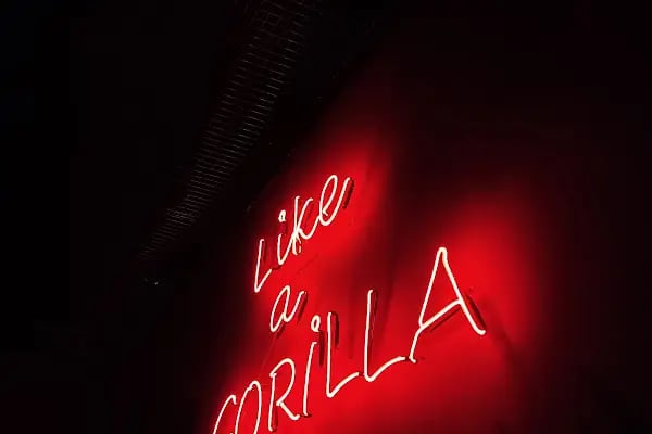 Gorilla Pub - Resim 16