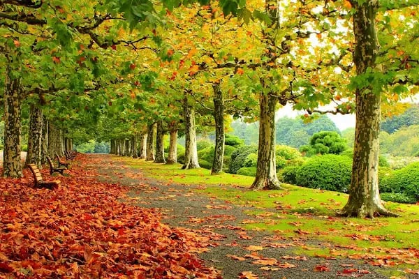 Spor Parkı - Resim 1