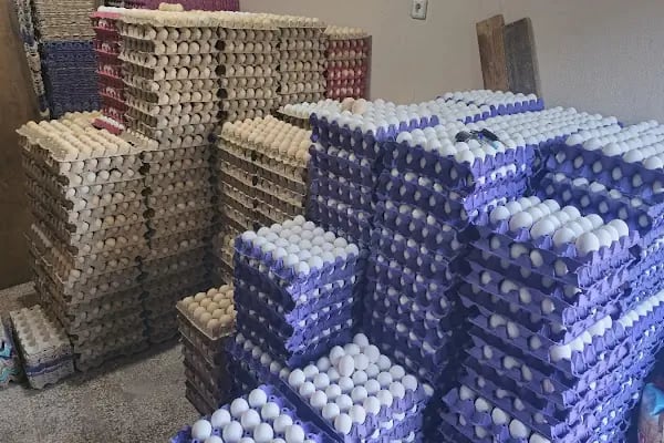 Çardak Yayla Gıda Doğal Ve Yöresel Ürünler Toptan Ve Perakende - Resim 12