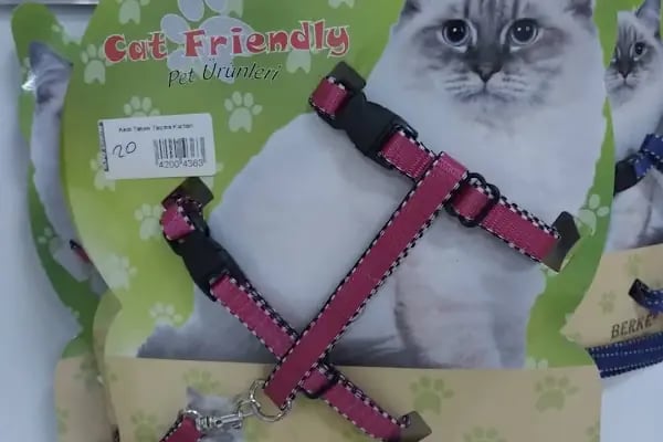 BİG PET SHOP - Resim 14