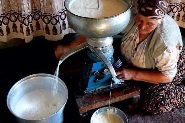 Neyire Neyir Sk. Girişi Naci Kasım Parkı - Resim 14