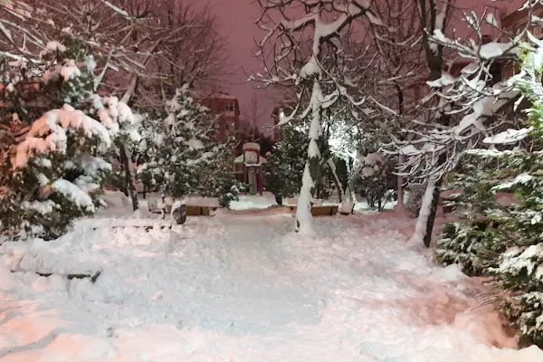 Neyire Neyir Sk. Girişi Naci Kasım Parkı - Resim 7