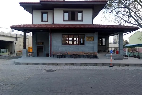 Yıldızlı Merkez Cami - Resim 4