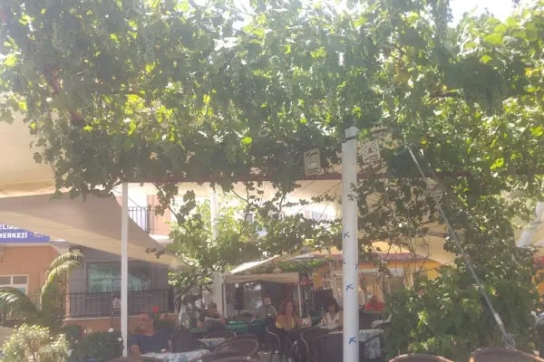 Denizatı Cafe - Resim 4