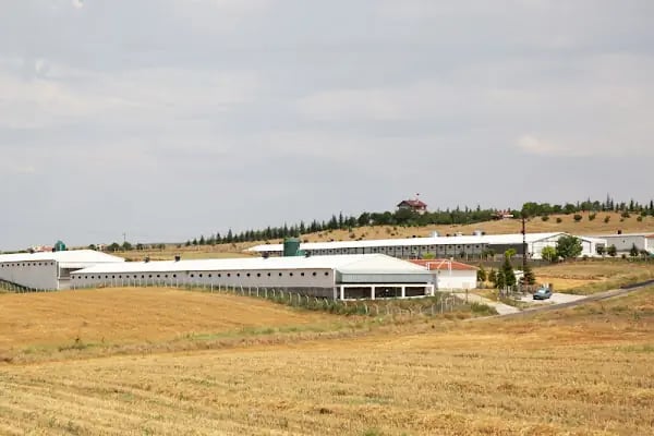 Bakpiliç Entegre Tavukçuluk A.Ş - Resim 8