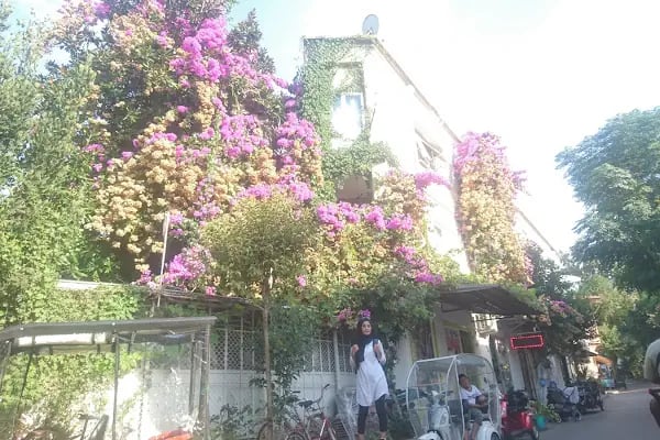 Büyükada Şekercisi Candy Island Cafe Patisserie - Resim 7