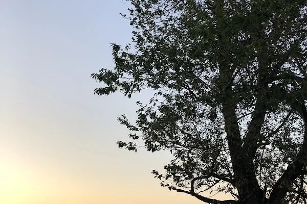 Kpoha Kamp Alanı - Resim 6