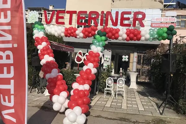 NİLVET Veteriner Kliniği I 7/24 Acil Veteriner I İHSANİYE Veteriner I NİLÜFER Veteriner I KARAMAN Vet I Nöbetçi Veteriner - Resim 7