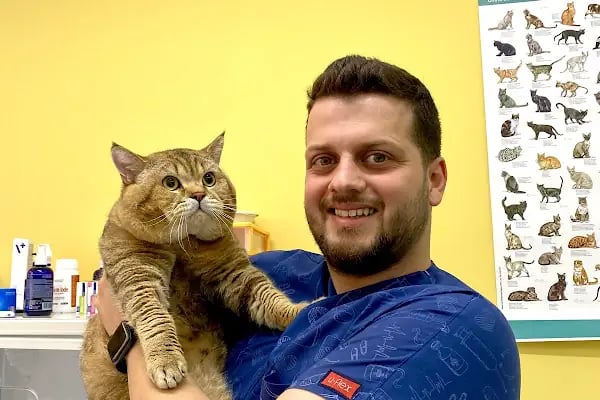 NİLVET Veteriner Kliniği I 7/24 Acil Veteriner I İHSANİYE Veteriner I NİLÜFER Veteriner I KARAMAN Vet I Nöbetçi Veteriner - Resim 14