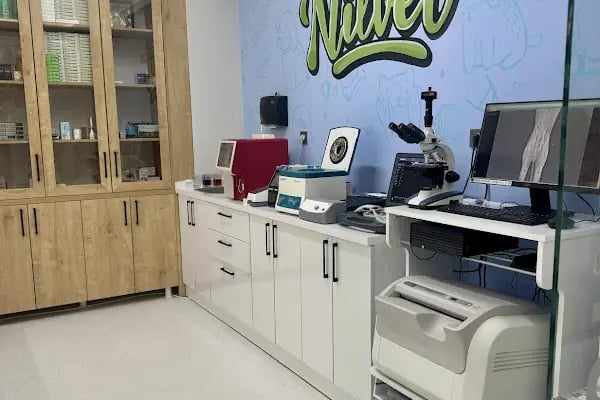 NİLVET Veteriner Kliniği I 7/24 Acil Veteriner I İHSANİYE Veteriner I NİLÜFER Veteriner I KARAMAN Vet I Nöbetçi Veteriner - Resim 17