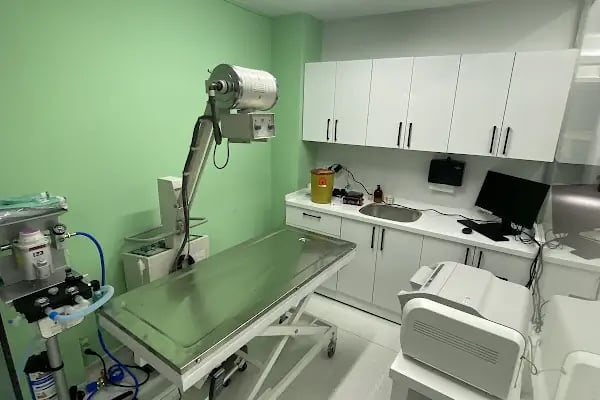 NİLVET Veteriner Kliniği I 7/24 Acil Veteriner I İHSANİYE Veteriner I NİLÜFER Veteriner I KARAMAN Vet I Nöbetçi Veteriner - Resim 10