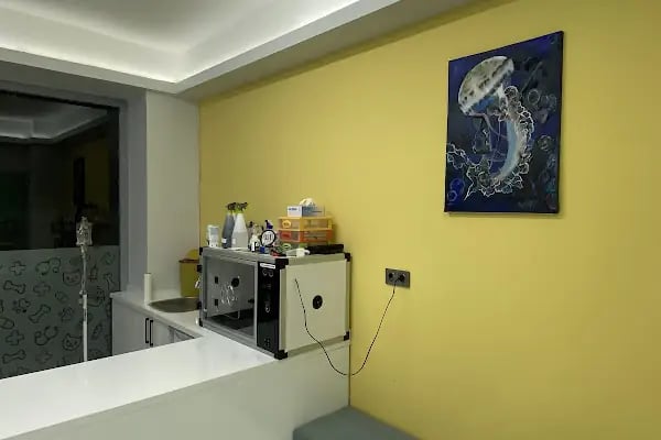 NİLVET Veteriner Kliniği I 7/24 Acil Veteriner I İHSANİYE Veteriner I NİLÜFER Veteriner I KARAMAN Vet I Nöbetçi Veteriner - Resim 5
