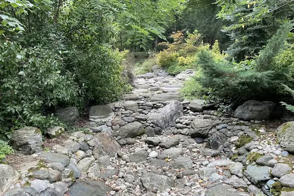 Atatürk Arboretumu - Resim 12