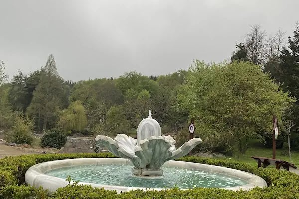Atatürk Arboretumu - Resim 14