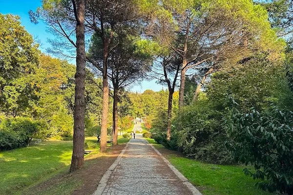Atatürk Arboretumu - Resim 5