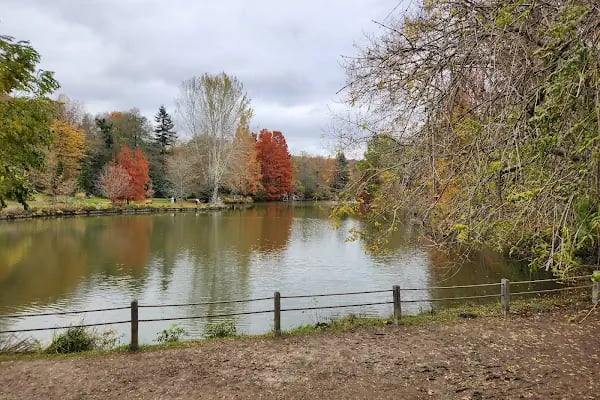 Atatürk Arboretumu - Resim 11