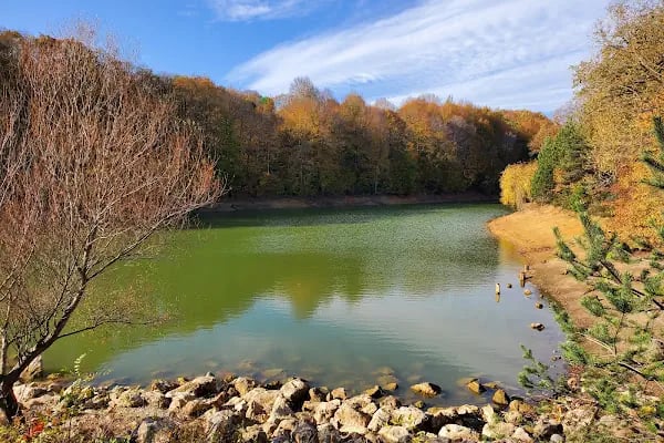 Atatürk Arboretumu - Resim 9