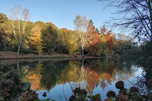 Atatürk Arboretumu - Resim 6