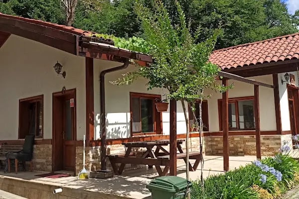 Atatürk Arboretumu - Resim 15