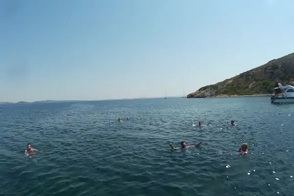 Halil Tan Parkı - Resim 12