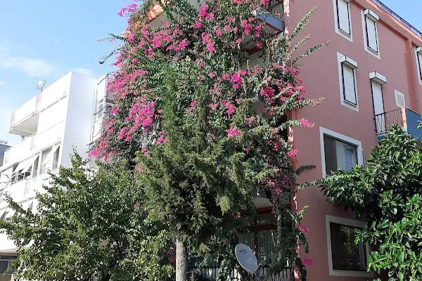 Hotel Kozan - Resim 13