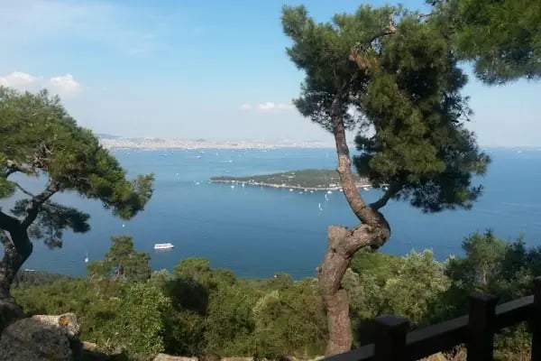 Aya Nikola Rum Manastırı - Resim 18