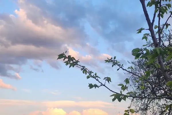 Büyükyağlı Belediyesi Çocuk Parkı - Resim 17