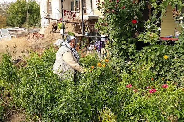 Büyükyağlı Belediyesi Çocuk Parkı - Resim 2
