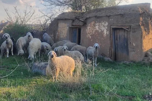 Büyükyağlı Belediyesi Çocuk Parkı - Resim 7