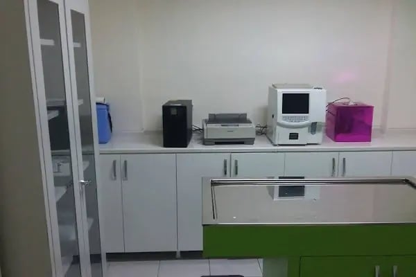 Petzilla Veteriner Muayenehanesi - Resim 16