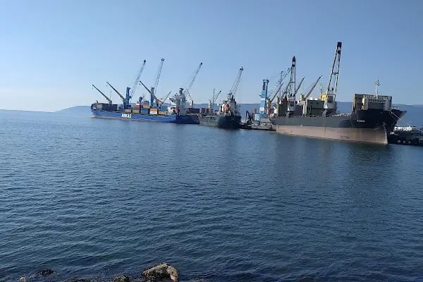Roda Liman - Resim 1