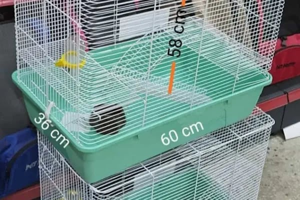 My Jumbo Petshop ( ALO MAMA ) - Resim 12