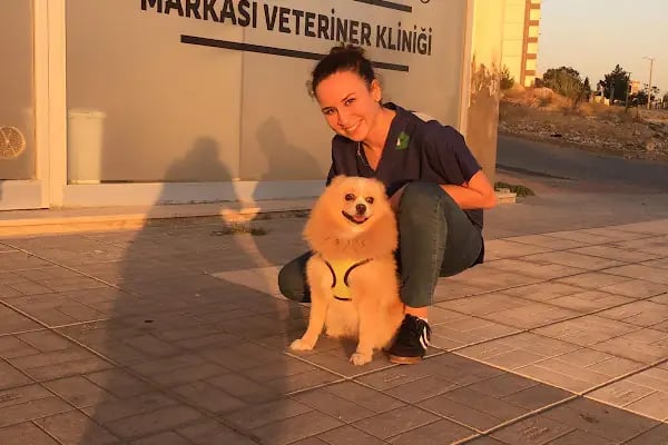 Markasi Veteriner Kliniği - Resim 3