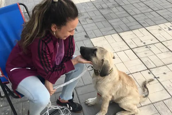 Markasi Veteriner Kliniği - Resim 5