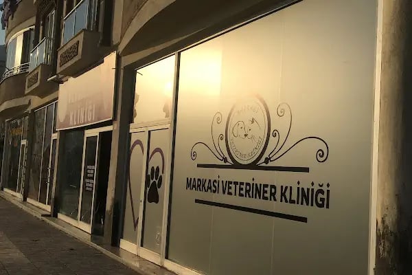 Markasi Veteriner Kliniği - Resim 10