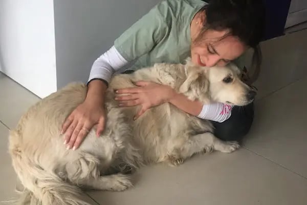 Markasi Veteriner Kliniği - Resim 6